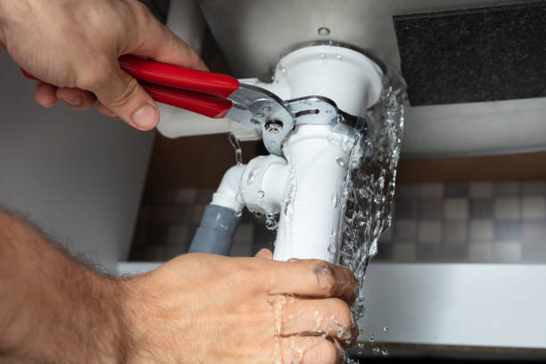 Best Water damage cleanup near me  in Lincolnton, GA