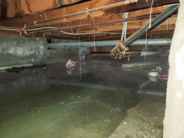 Best 24/7 water damage repair  in Lincolnton, GA