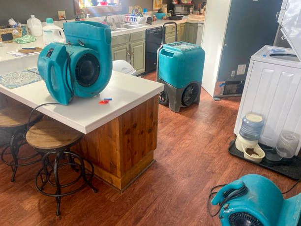 Best 24/7 water damage repair  in Lincolnton, GA