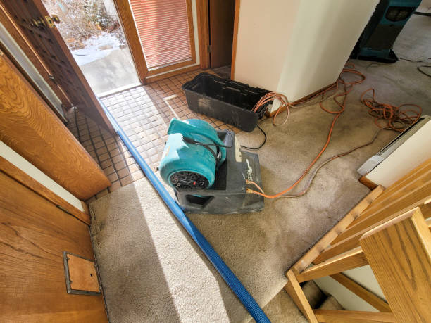 Best Water damage contractors near me  in Lincolnton, GA