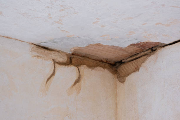 Best Basement water damage restoration  in Lincolnton, GA