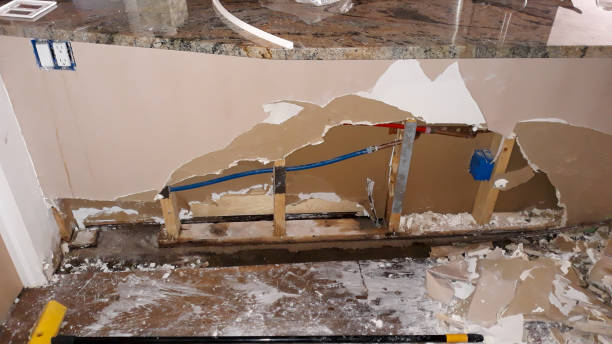 Best Flooded house restoration  in Lincolnton, GA