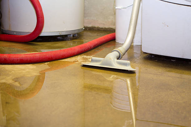 Best Water damage cleanup near me  in Lincolnton, GA