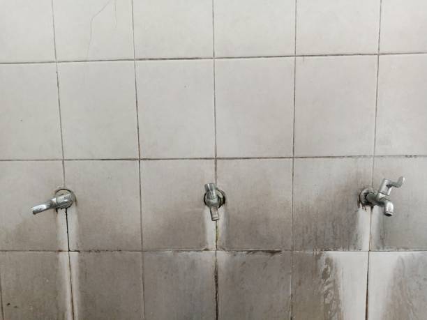  Lincolnton, GA Water damage restoration Pros