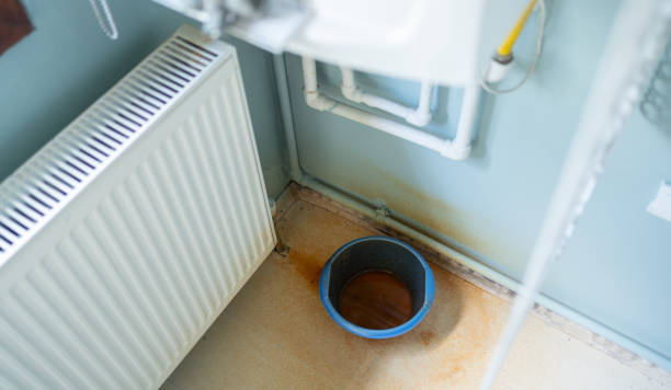 Best Flood restoration services  in Lincolnton, GA