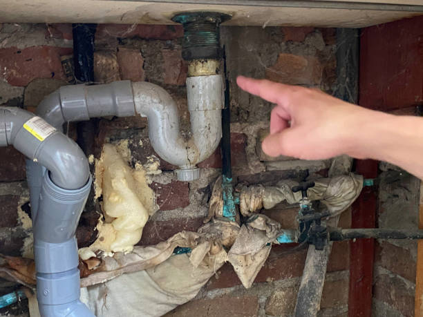 Best Flooded house restoration  in Lincolnton, GA
