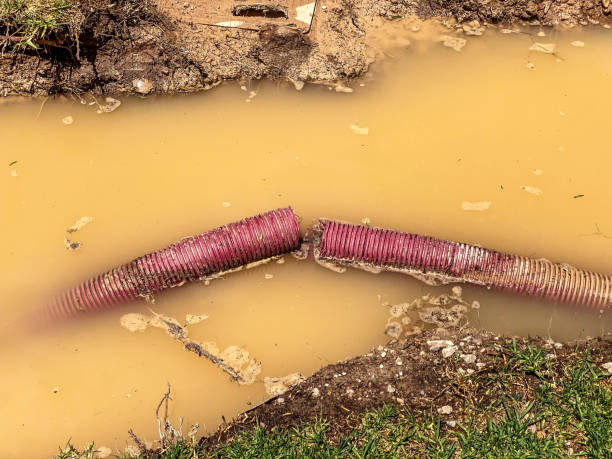 Best Basement water damage restoration  in Lincolnton, GA